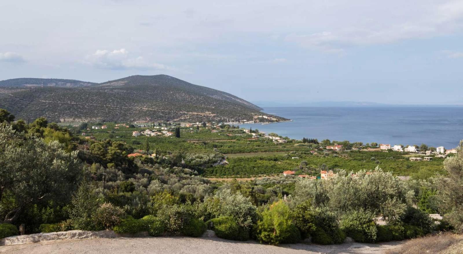 Elia Junior Suite In Epidavros With Shared Pool Nea Epidavros Exterior foto